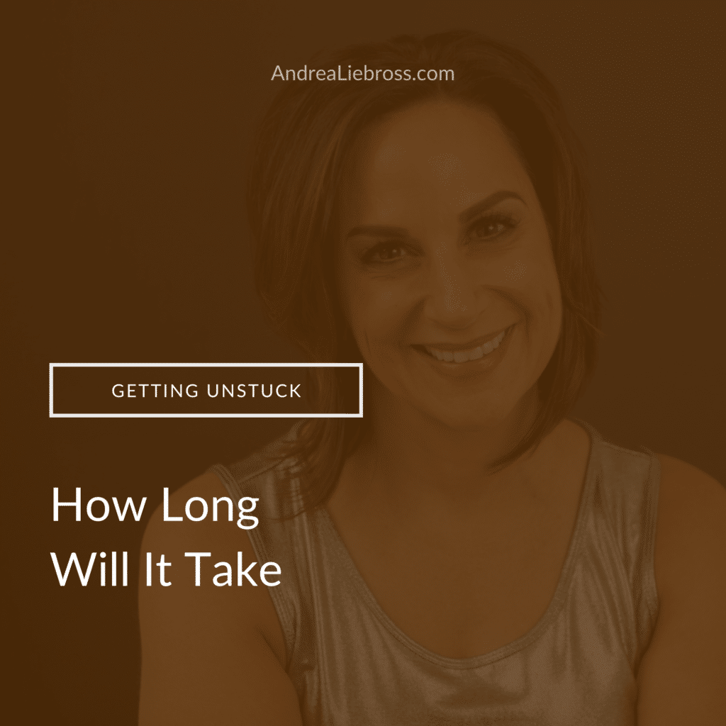 How Long Will It Take? - Andrea Liebross