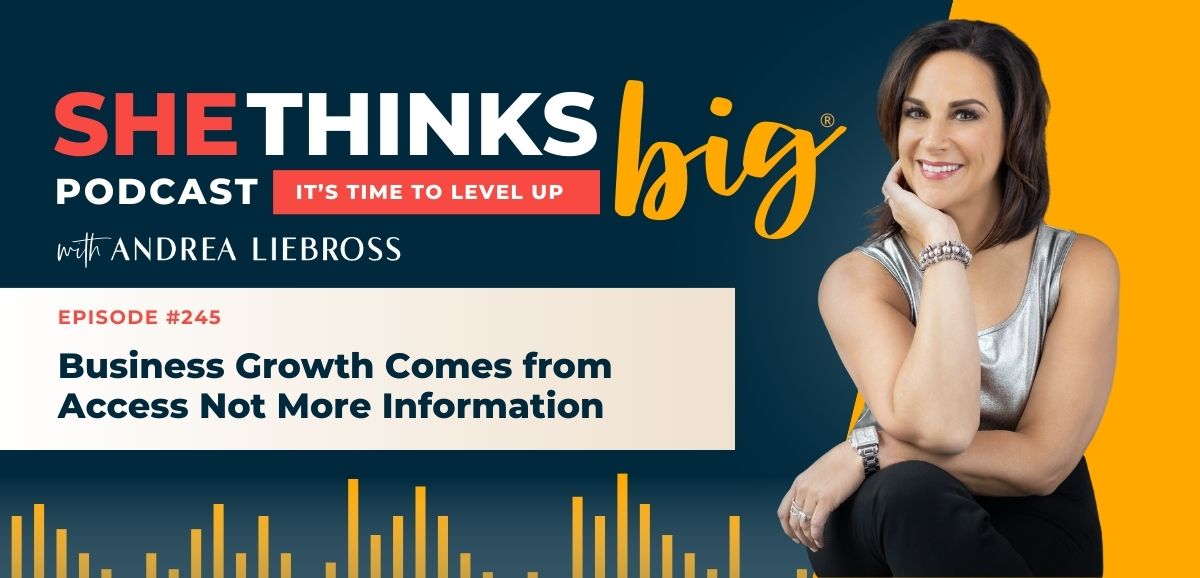 Business Growth Comes from Access Not More Information